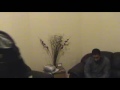 Priorities - A fictional inspirational drama developed by the Noor Youth Group Manele-Gratis.net