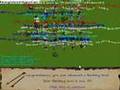 Bludevil14 & 5pirit 99 fletching party