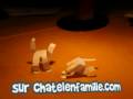 videos de Hand Shake