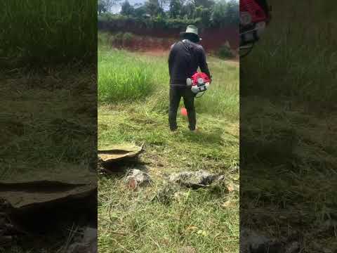 Cắt cỏ 2 con rồng CG330B màu đỏ - xám