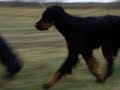 PB070056.AVI