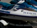 Boats247- Marine City - TIGERSHARKS(2) Boats247- Marine City - TIGERSHARKS(2)