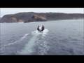 Surfrider weekend in Tassie - FRIDAY