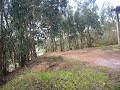 TOGUIMA SALTO TELHEIRO