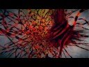 videos de Umeric - Royal Elastics 'Feilfri'