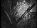 Derby Peregrine Falcon 13 - Sniper