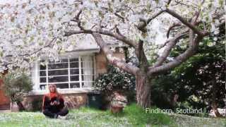Chants & Mantras #1                             Gayatri Mantra All Around The World             