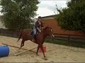 Bella is Learning!