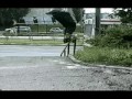 MIPA ANALOGUE MONTAGE 2 / DZIUBA