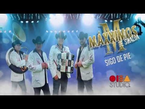 Sigo de Pie - Maxximos de Sinaloa