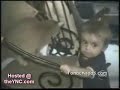 copia de videos de gatos locos, animales, videos c...