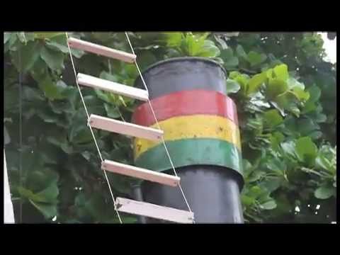 Imagen de previsualización de YouTube
