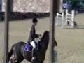 videos de Knockbeg Westbury