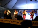 Vida Gineta (Anomar Danúbio Vieira/Elton Saldanha)