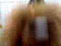 videos de moto_1136.3gp