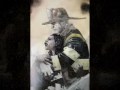 9/11 Tribute
