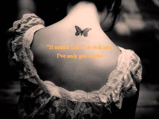 Download Mayday Parade Album