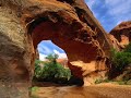 nature...top quality photos