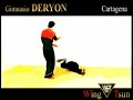 Wing Tsun (adaptarse o morir)