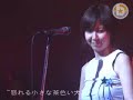 Cymbals - Last Live \"encore\" Cymbals - Last Live \"encore\"