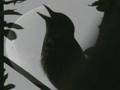 https://www.youtube.com/watch?v=Slp3flAXXQc