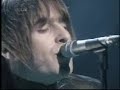 Oasis Sonbird