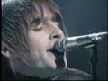 Oasis Sonbird