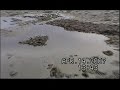 Dairy Farm Bio-dredging - Back to Nature