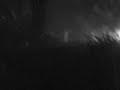 the rain