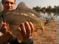 Jezero Pelagićevo - šaranski ribolov