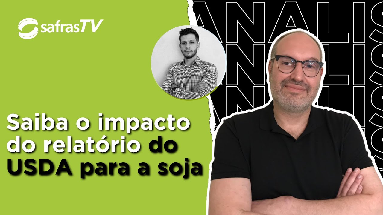 Confira o impacto do relatório do USDA no mercado de soja
