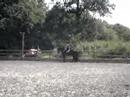 Jimmy and Hiedi dressage practice