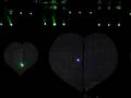 videos de marco v summer planet love 2008