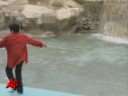 Liza Minnelli Performs at the Trevi Fountain