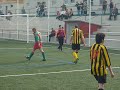 Puig reig - VOLTREGA