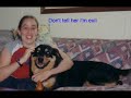 Rotty Love