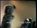 רוצה להיות שם - הקטע המלא!!