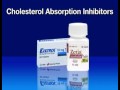 Cholesterol-Lowering Medication (Cholesterol #5)