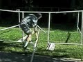 How to build a simple PVC Sukkah How to build a simple PVC Sukkah