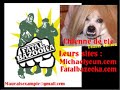 fatal bazooka : chienne de vie fatal bazooka : chienne de vie