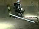 saut dobstacle 4