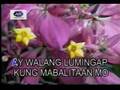 Huling Awit by Resurreccion Bunyi