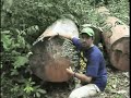 Greenpeace, Campagna Foreste Spedizione sul campo in Camerun