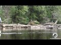 Wisconsin Fly Fishing Northern Trout Early Season