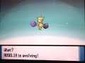 Evolucion roselia shiny pokemon evolving