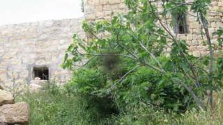 مزارع النوباني 2011 (القرية) مزارع النوباني 2011 (القرية)