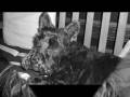 videos de Jacky_0001.wmv