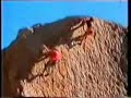 Wolfgang Güllich Parte2