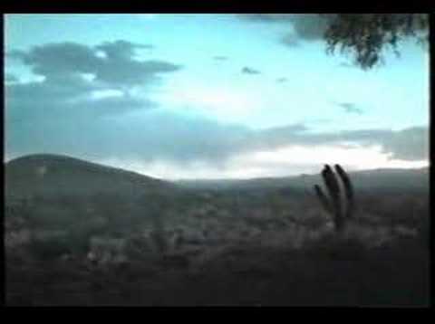 Video de La locomotora de Café Tacvba