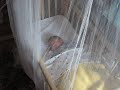 Alexander da  Great asleep